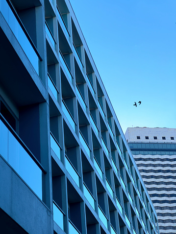 Large building and flying birds in Izmir
