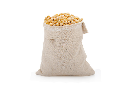 Dried pearl barley seeds flowing out of falling gunny sack on white background.