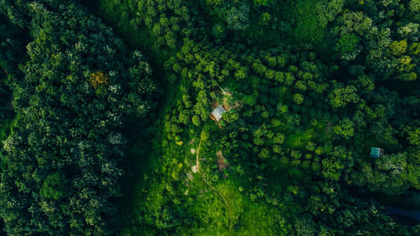 istock Hills Of Bandarban 1990667686