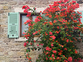 Close up window with wooden shutter from stone house