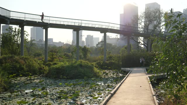 Elavated walkway in Bangkok's park