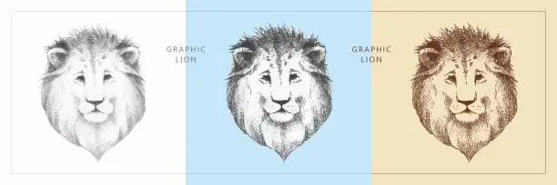 Vector illustration of Lion sketch