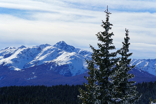 Mount of the Holy Cross Sawatch Range - Scenic winter landscape with frosted trees and rugged mountain peaks near Vail, Colorado USA.