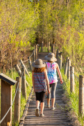 Rear view of two sisters walking across a wooden bridge in the woods on a springtime evening.