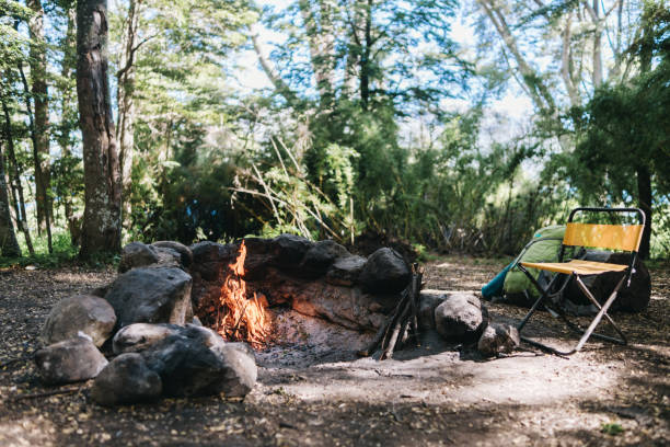 istock View of a bonfire at a camp in the forest 1990825325