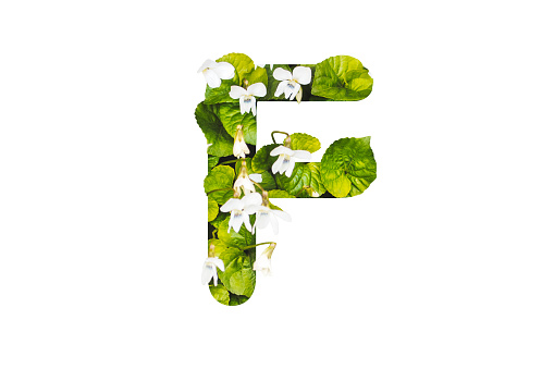 letter F made of grass and flowers , alphabet