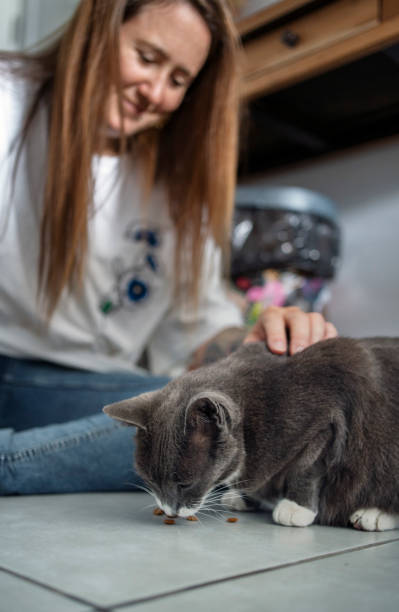 istock Smiling owner feeding her cute cat on a kitchen floor at home 1990841766