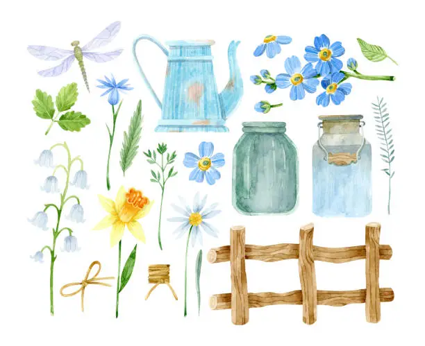 Vector illustration of Watercolor rustic clipart. Dragonfly, watering can, jar, lily of the valley and daffodil.