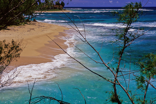 HÄÊ»ena State Park is a state park on the north shore of the Hawaiian island of KauaÊ»i.