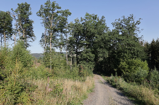 August 09, 2023, Biggesee / Attendorn: View of the natural landscape at the Biggesee in the Sauerland