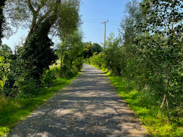 istock Ulster Canal walk in Clones, Monaghan, Ireland 1990886331