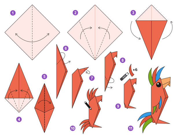 Origami tutorial for kids. Origami cute parrot. Macaw parrot origami scheme tutorial moving model. Origami for kids. Step by step how to make a cute origami bird. Vector illustration. origami instructions stock illustrations