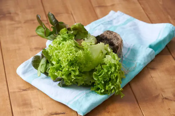 Green salad on a wooden table