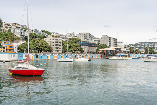 Uitzicht over de jachthaven Lambton haven bij Wellington met op de voorgrond een rode zeilboot en op de achtergrond het centrum van Wellington