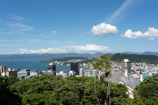 Uitzicht over Wellington vanaf de heuvel waarop het Cable Car Museum en de botanische tuin zijn gevestigd