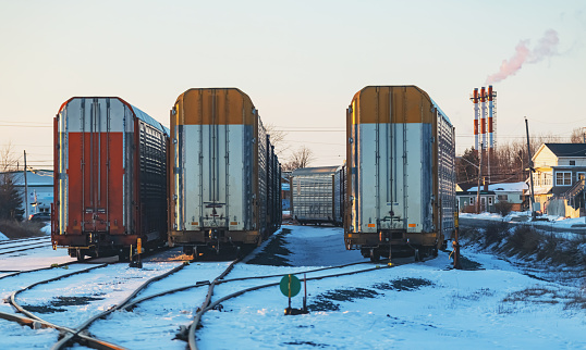 Vehicle transport freight cars wait for pickup in a railyard.