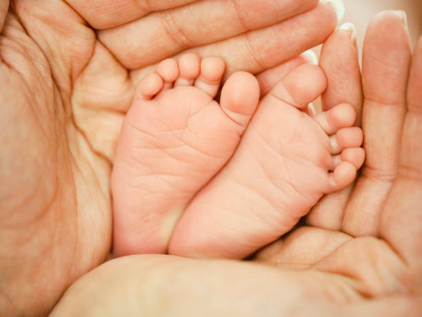 istock Baby Feet in Mother's Hands 1990975678
