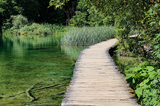 Hiking Plitvice Lakes National Park . Forested Hills and Turquoise Lakes. Wooden Footbridges and Pathways that Snake Around the Edges and Across the Rumbling Water. Tourists visit Plitvice Lakes.