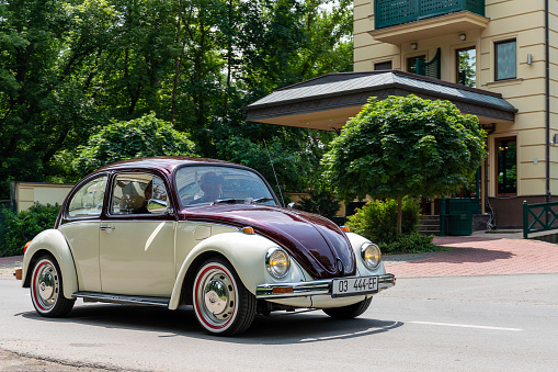 Bicolor - cherry and beige Volkswagen Super Beetle is driving in Palic, Serbia, 02.07.2023