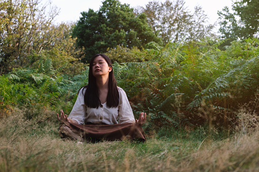 A young woman meditates peacefully amidst vibrant green foliage.