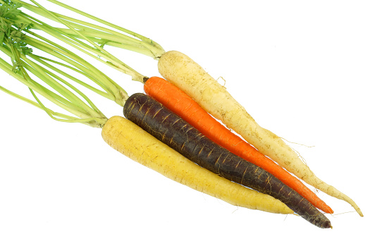 Colorful organic carrot isolated on white background