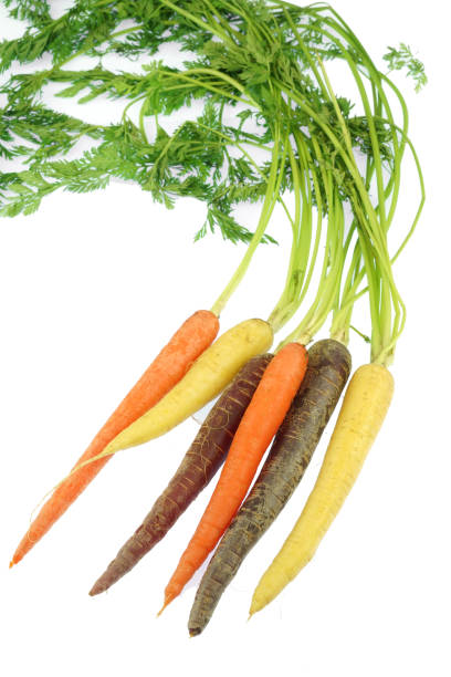 istock Colorful organic carrot isolated on white background 1991085986