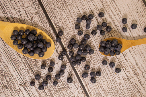 Closeup of an unharvested dried ripe but shriveled blueberry.