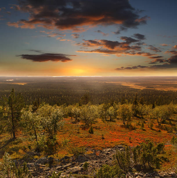 Tankavaara, Finland - Urho Kekkonen National Park - It is one of the major national park in Lapland.