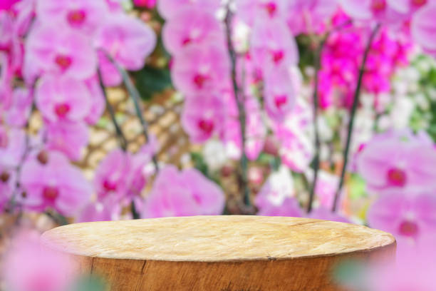 istock Empty old tree stump table top with blur orchid garden background for product display 1991207765