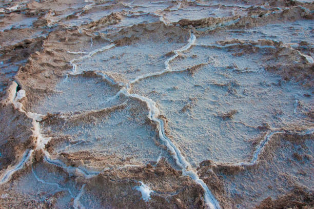 Dry cracked earth in Salt Flats, Death Valley, NP, CA