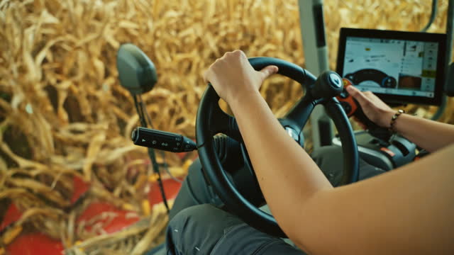 Handheld Closeup of Female Farmer Operating Modern Combine Harvester with Steering Wheel and Control Lever Cutting Corn Crops in Field