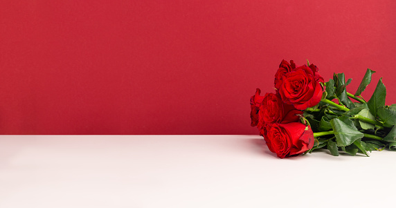 bouquet of red roses on a red background with copy space. banner