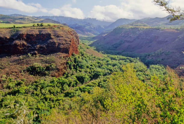 Waimea Canyon, also known as the Grand Canyon of the Pacific, is a large canyon, approximately ten miles (16 km) long and up to 3,000 feet (900 m) deep, located on the western side of KauaÊ»i in the Hawaiian Islands of the United States.
