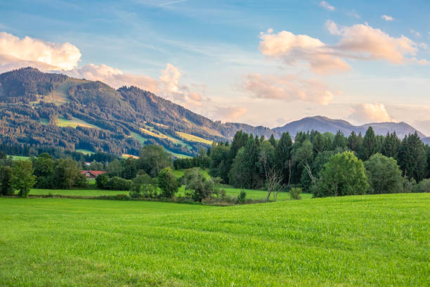 istock Green landscape in Allgovia, Germany 1991364704
