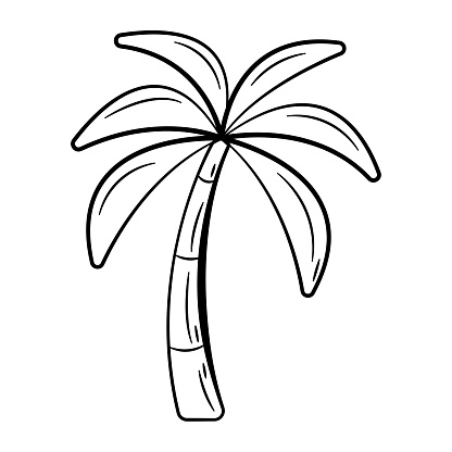 Hand Drawn Icon of Date Palm Tree.
Outline Doodle Islamic Icon Collections