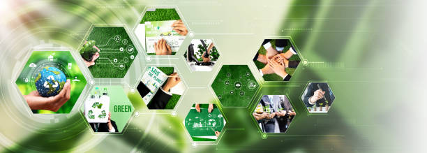 istock Green business ESG management tool to save world LCA future for better day . 1991448801