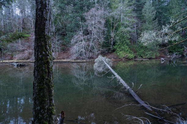Whitty's Lagoon Regional Park a popular recreational area in Metchosin, BC.