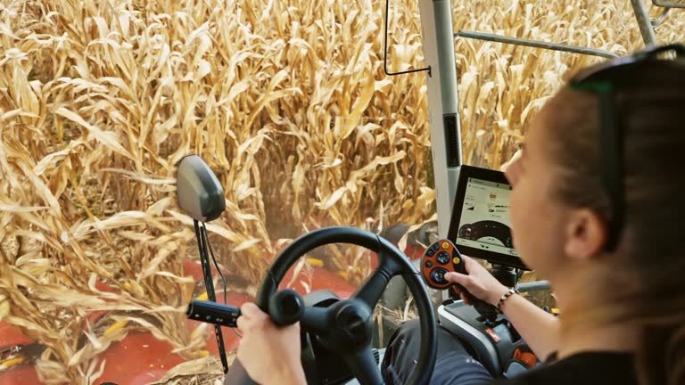 Over The Shoulder View of Female Student Operating Modern Combine Harvester with Steering Wheel and Control Lever Cutting Ripe Crops in Corn Field
