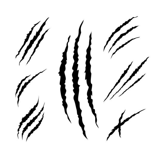 illustrations, cliparts, dessins animés et icônes de ensemble de vecteur d’illustration de silhouette de cicatrice de griffe - griffes ou pinces
