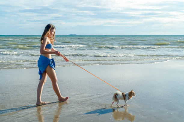 istock Beautiful young woman relaxing on the beach 1991644998