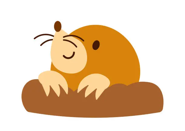 Vector illustration of Cute Mole.