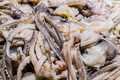 Octopus drying in the sun, Crete, Greece, Europe. Octopus drying in Crete, Greece. An octopus drying on a rope outside a tavern in Crete, Greece. Octopus is a very popular dish in Greece.