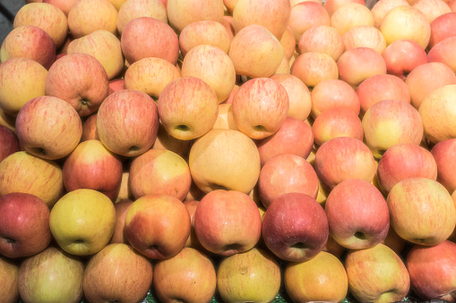 A very ordinary pile of apples