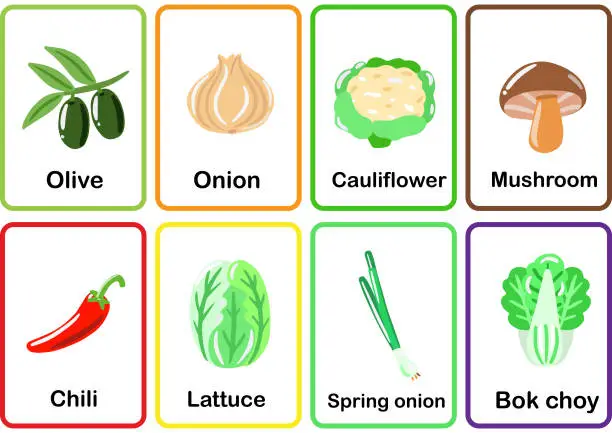 Vector illustration of Vegetables Flash cards  memory game cards set