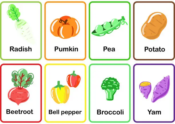 Vector illustration of Vegetables Flash cards  memory game cards set