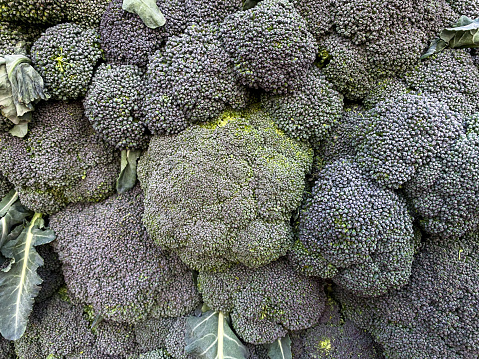 Broccoli close up image on vegetable supper market