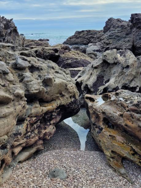 istock New Zealand beach imagery 1991686178