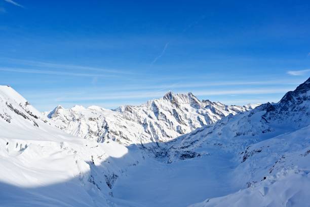 Jungfrau is known as the \