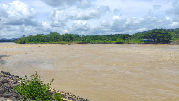 istock view of serayu river with big current, serayu river landscape at day 1991710088