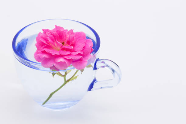 Beautiful pink flower in a transparent cup with water.
